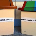 Exemplos de lixo orgânico e inorgânico