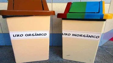 Exemplos de lixo orgânico e inorgânico