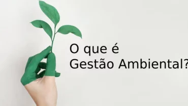 O que é gestão ambiental?