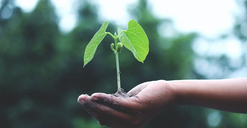 Sistemas de Gestão Ambiental
