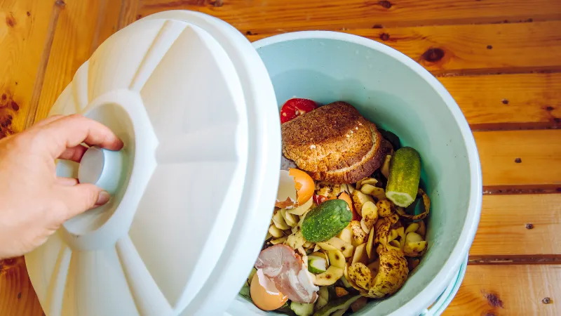 Como devo separar o lixo orgânico