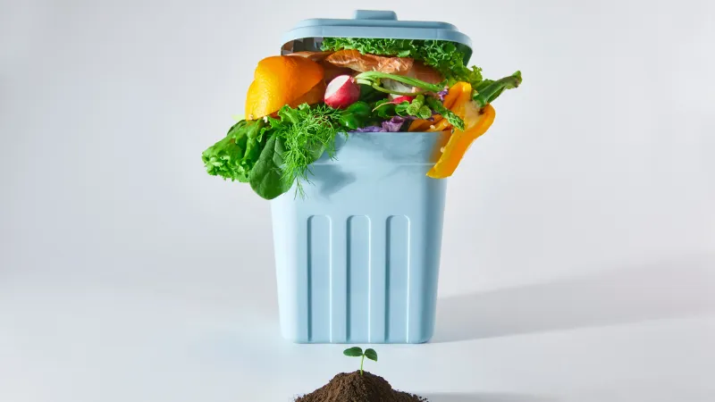 O que devemos colocar na lixeira organica