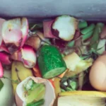 Onde é descartado o- lixo organico