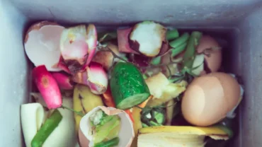 Onde é descartado o- lixo organico