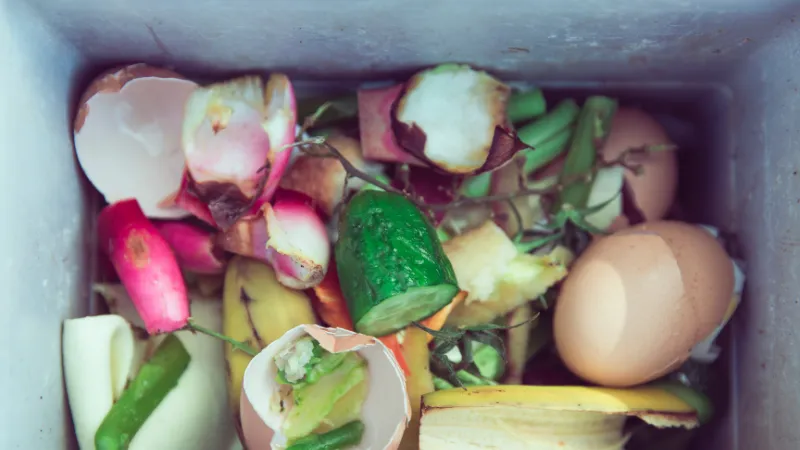 Onde é descartado o- lixo organico