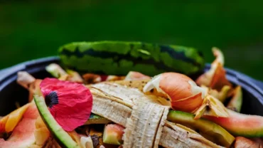 Quais são10 exemplos de lixo organico