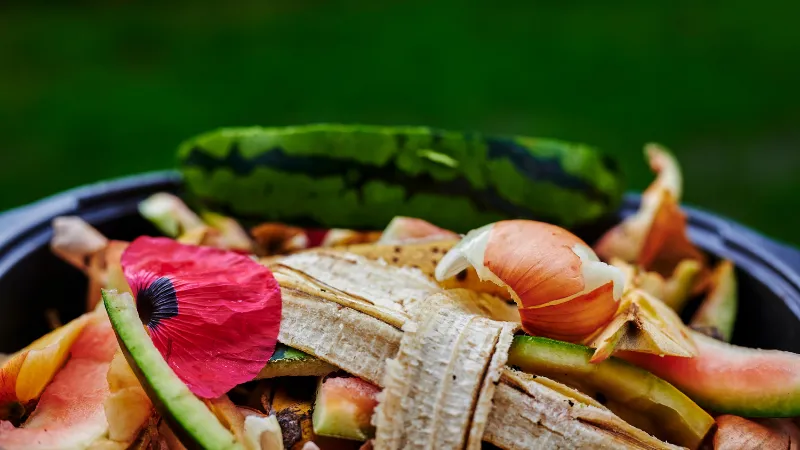 Quais são10 exemplos de lixo organico