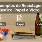 Quais São 3 Exemplos de Reciclagem