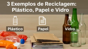 Quais São 3 Exemplos de Reciclagem
