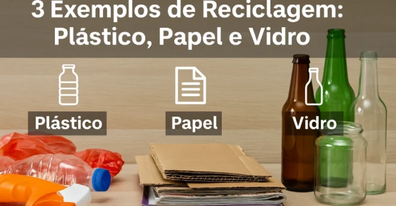 Quais São 3 Exemplos de Reciclagem
