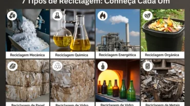 Quais São os 7 Tipos de Reciclagem?
